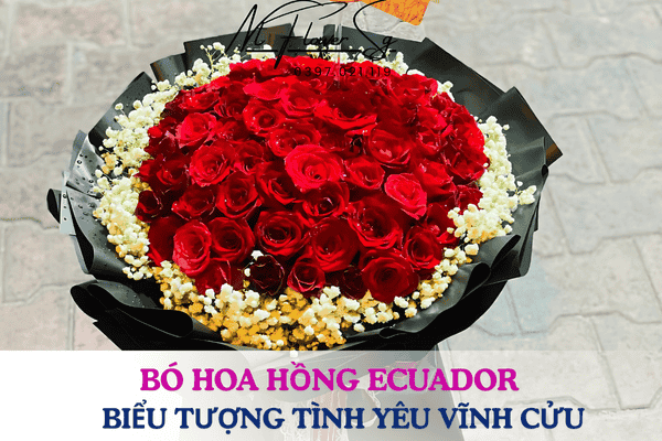 Bó Hoa Hồng Đỏ Ecuador – Biểu Tượng Tình Yêu Vĩnh Cửu